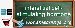 WordMeaning blackboard for interstitial cell-stimulating hormone